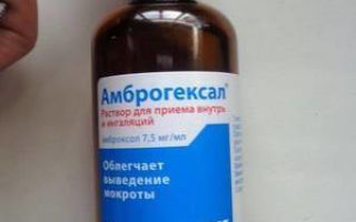Ингаляции с Амброгексалом: инструкция по применению и пропорции разведения препарата
