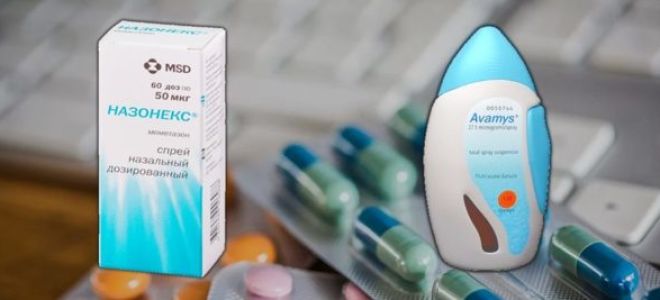 Авамис или Назонекс: что лучше при вазомоторном рините
