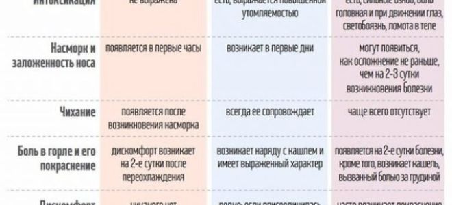 Народные средства от простуды и ОРЗ: лучшие рецепты, особенности применения, меры профилактики