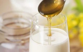 Молоко с луком от кашля: самые эффективные рецепты