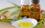Какую пользу приносят ингаляции с маслом эвкалипта — рекомендации