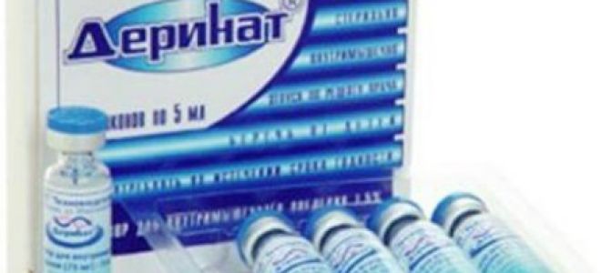 Как выполнять ингаляции с Деринатом: использование небулайзера и эффективность препарата