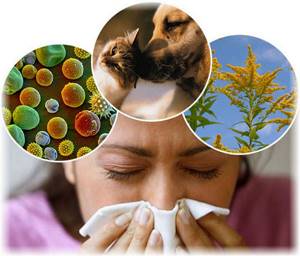 Поллиноз - что это такое, симптомы, заболевание, лечение, носа, аллергический, профилактика