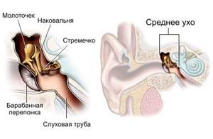 Функции среднего уха: профилактика заболеваний среднего уха
