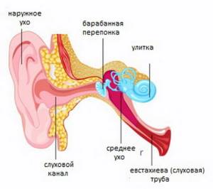 Импедансометрия уха тимпанометрия типы и расшифровка результатов