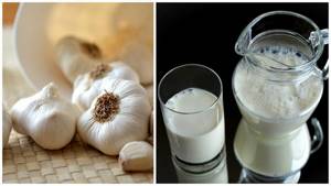 Молоко с луком от кашля: самые эффективные рецепты