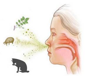 Зуд в носу и частое чихание, что делать и каковы причины