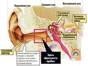 Шум в ухе причины, лечение, особенности диагностики