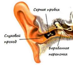 Боли в ушной раковине - причины боли, профилактические меры, терапия