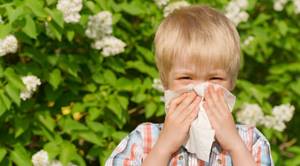 Аллергический ринит у ребенка симптомы и лечение