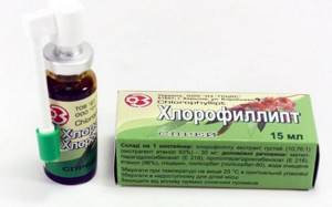 Хлорофиллипт при тонзиллите - лечебное действие