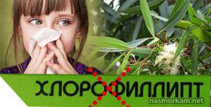 Хлорофиллипт для ингаляций в небулайзере от кашля детям доза
