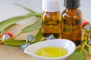 Какую пользу приносят ингаляции с маслом эвкалипта - рекомендации