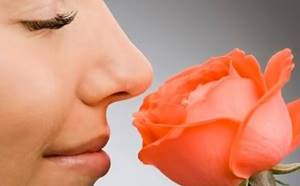 Заболевания носа и околоносовых пазух. ЛОР - заболевания органов