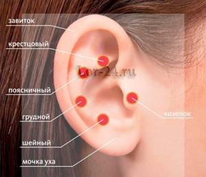 Где находится козелок уха: боль, воспаление, лечение и симптомы