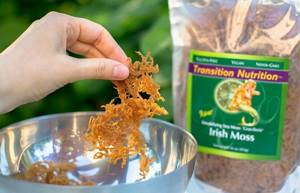 Ирландский мох от кашля, инструкция по применению ирландского мха от кашля